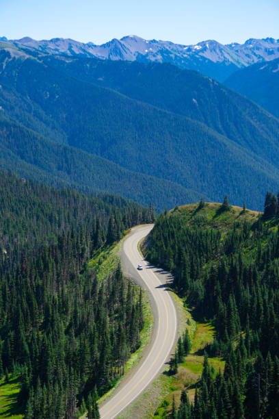 Highway along Hurricane ridge, Olympic National Park