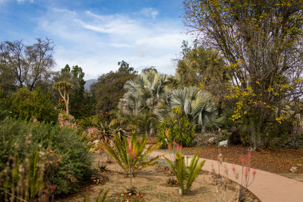 Walking along the Aloe Trail