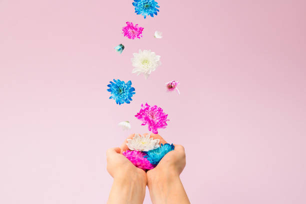 istock Colorful falling flowers falling into women's hands. 1302680899