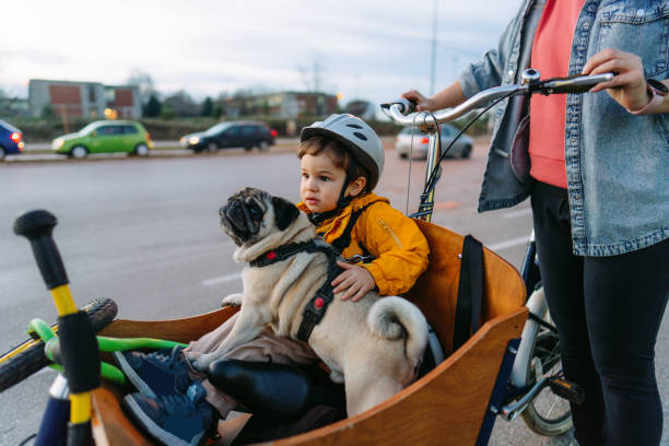 istock City biking with our dog 1302682340
