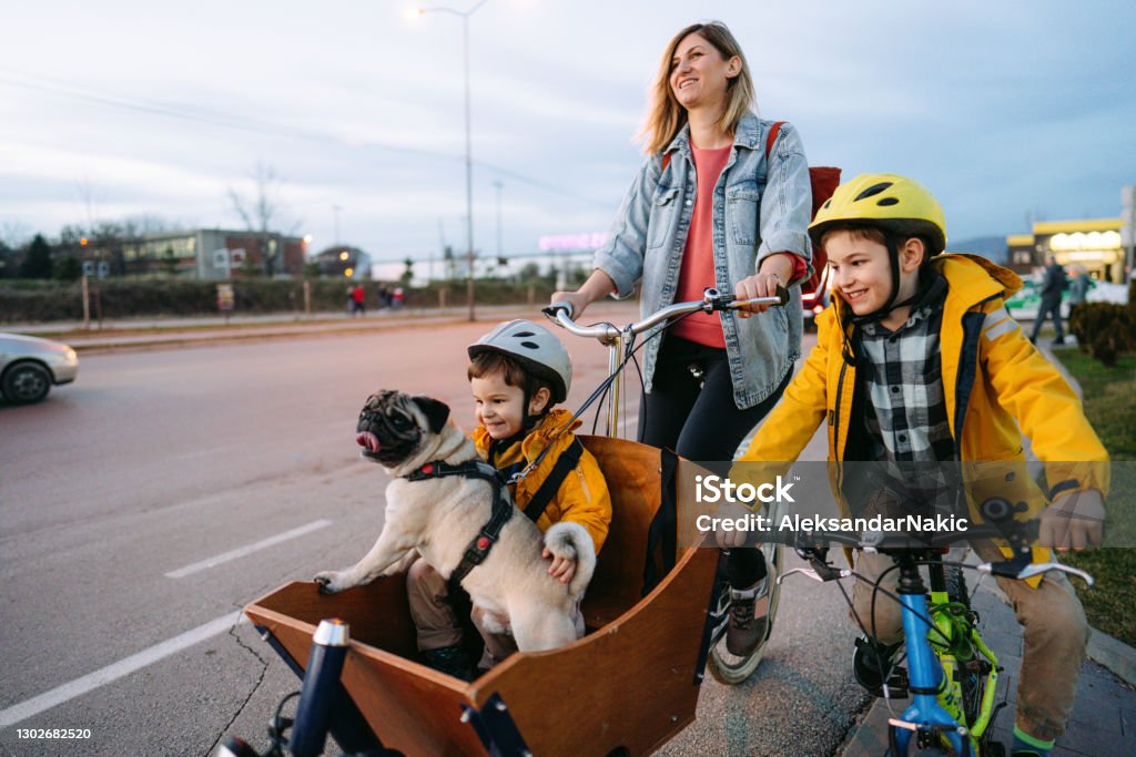 Family biking in the city Photo of a cute little boy riding with his dog in a cargo bike, accompanied by his mother and brother, and enjoying the warm afternoon in the city. Cycling Stock Photo