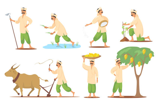 illustrations, cliparts, dessins animés et icônes de fermier indien heureux dans différents poses ensemble plat pour la conception de web - agriculture farm people plow