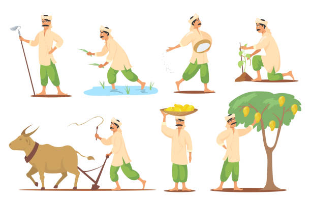 Happy Indian farmer in different poses flat set for web design Happy Indian farmer in different poses flat set for web design. Cartoon barefoot man plowing field, planting and seedling isolated vector illustration collection. Rural business and village concept farmer stock illustrations