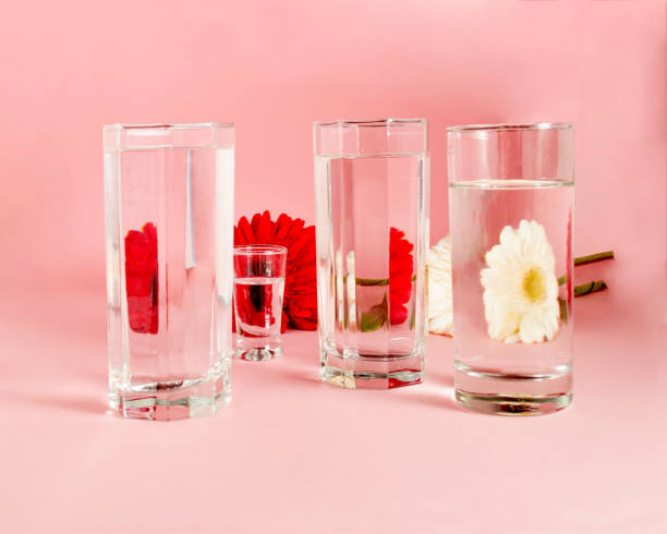 istock Water glasses and gerberas behind them make beautiful distortions. Creative idea. 1302690523