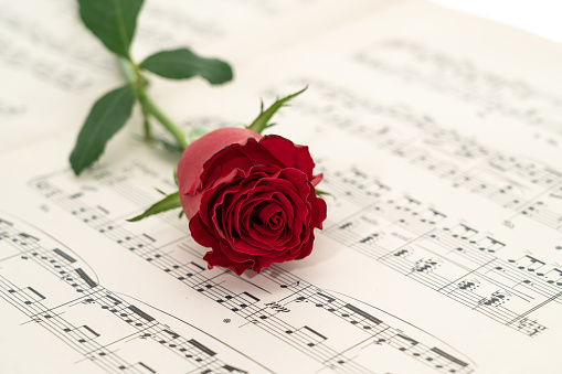 A single red rose placed on an opened book of sheet music