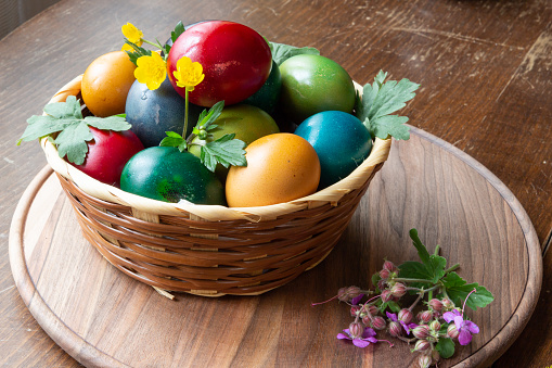 Selective focus of white eggs on rustic nest and colorful feathers with yellow flowers as decoration of wooden table.
