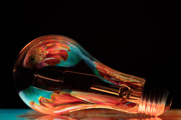 istock Green energy concept lightbulb with flower reflection 1302693124