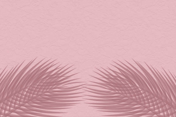 istock Pink soft cement texture wall leaf plant shadow background. Summer tropical travel beach with minimal concept. Flat lay pastel color palm nature. 1302695250