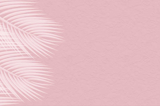 istock Pink soft cement texture wall leaf plant shadow background. Summer tropical travel beach with minimal concept. Flat lay pastel color palm nature. 1302695253