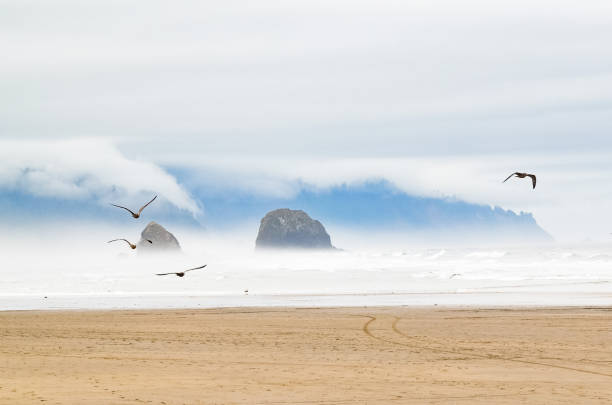 Oregon coastal beaches are wide and beautiful. Here under clouds and fox on a July day.