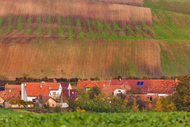 istock Famous moravian fields - Czech Republic 1302698560
