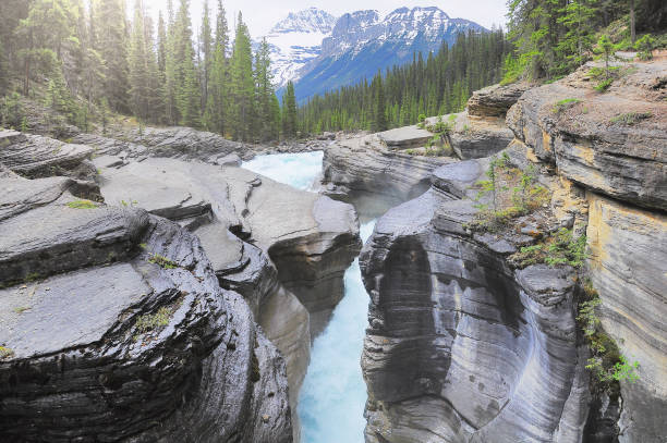 arroyo con agua pura en el cañón profundo. cañón de mistaya. parque nacional banff. alberta. canadá. - deep creek area fotografías e imágenes de stock