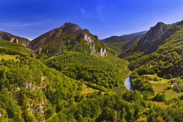 istock River Tara canyon - Montenegro 1302702104