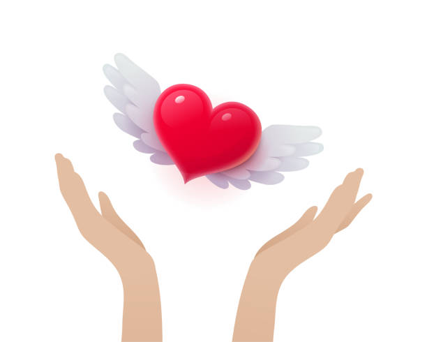 istock Female hands releasing red heart with wings 1302707336