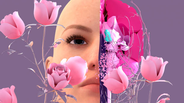 istock Olfactory system, sensory system used for smelling, olfaction  senses. Components of the olfactory system. 1302713335