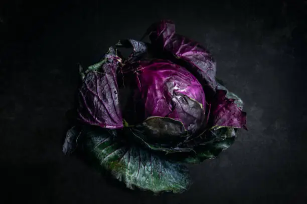 Purple cabbage flat lay