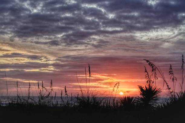istock Sunrise in South Carolina 1302716181
