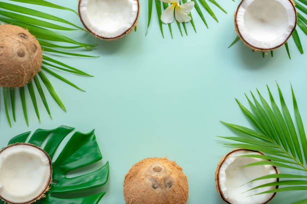 Tropical green palm leaf and cracked coconut on Green background.