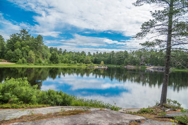 istock Forest lake in summer time 1302720516