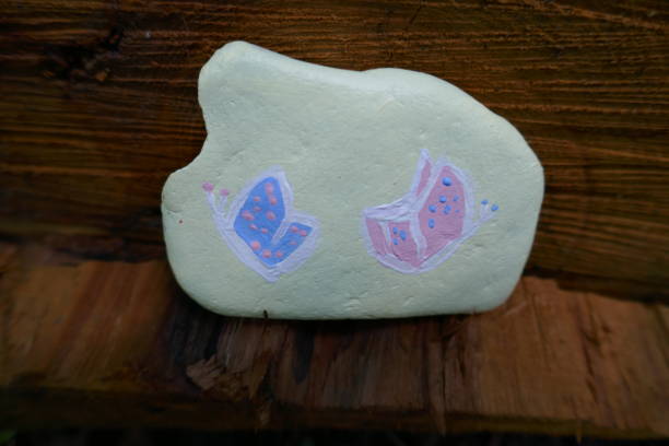 istock Kindness rock with two butterflies painted on 1302720627