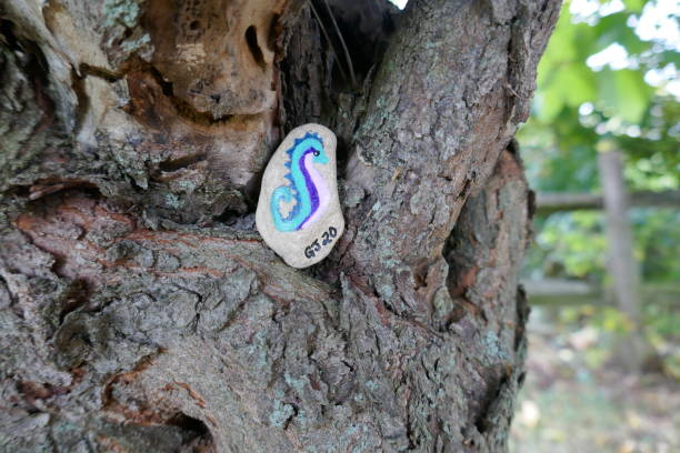 istock Kindness rock with colorful seahorse painted on hidden in tree 1302720663