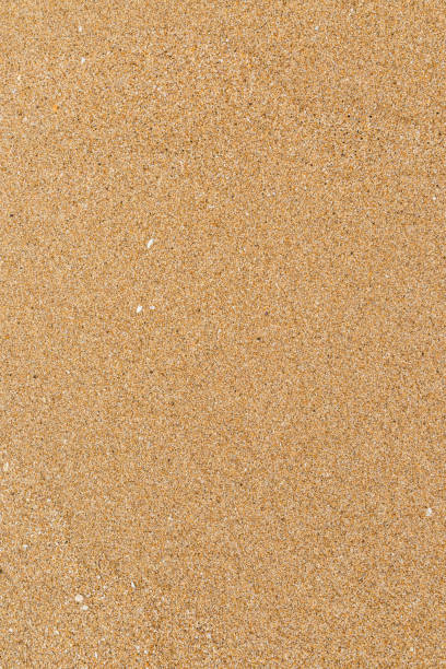 istock Closeup of wet sand texture pattern on the beach 1302721725