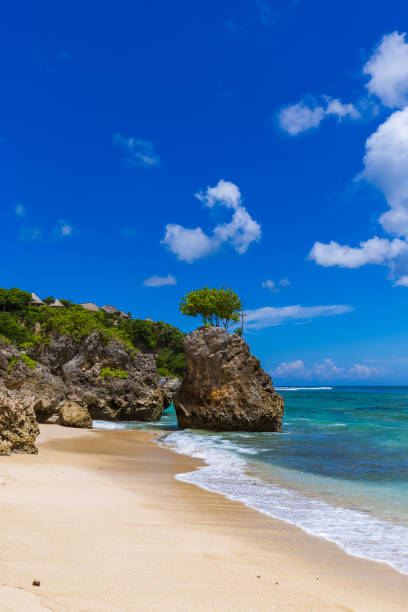 istock Bingin Beach - Bali Indonesia 1302722551