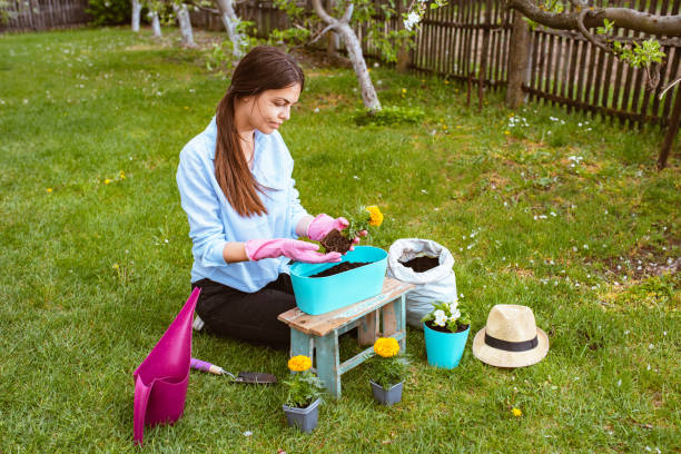 istock Young woman replanting plants 1302722625