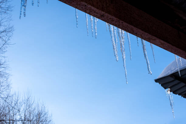 ghiaccioli trasparenti pendono dal tetto contro il cielo blu brillante e gli alberi. neve che si scioglie in primavera - icicle hanging snow moving down foto e immagini stock