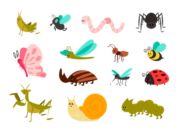 Cute bugs set. Cartoon colorful garden animals for kids illustration, funny children bug, worm and ladybug, little ant, spider and mosquito, butterfly and comic dragonfly vector collection Cute bugs set. Cartoon colorful garden animals for kids illustration, funny children bug, worm and ladybug, little ant, spider and mosquito, butterfly and comic dragonfly, vector isolated collection praying mantis stock illustrations