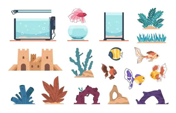 Vector illustration of Aquarium elements. Cartoon water glass tank for fish and underwater plants, stones and seaweeds. Decoration aquaria kit with undersea castle, goldfish or algae. Vector set for pet owner