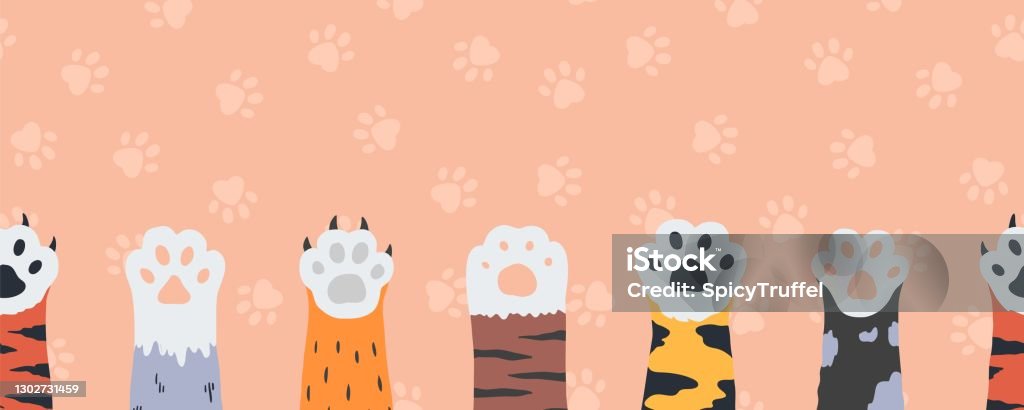 Ilustración de Patas De Gato Fondo De Pantalla Sin Costuras Gatitos De Dibujos Animados Garras Y Pies Lindas Extremidades De Animales Salvajes O Domésticos De Fondo Con Huellas De Mascotas Patrón Horizontal Ilustración de Patas De Gato Fondo De Pantalla Sin Costuras Gatitos De Dibujos Animados Garras Y Pies Lindas Extremidades De Animales Salvajes O Domésticos De Fondo Con Huellas De Mascotas Patrón Horizontal