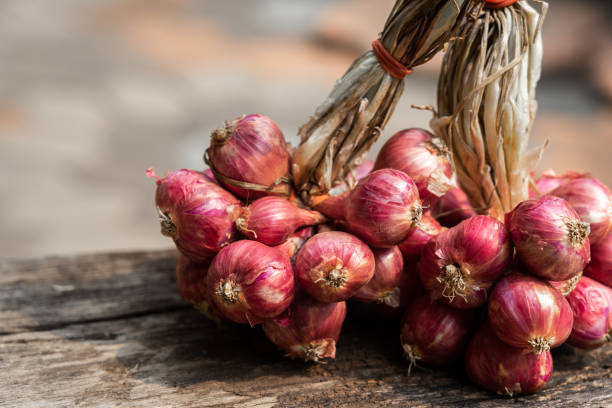 istock Fresh red onion on rustic wooden table with garden background 1302735678