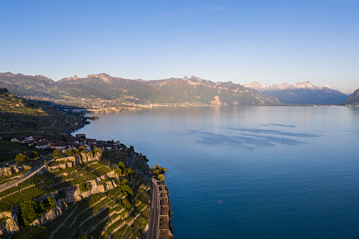 Aerial view of the famous Lavaux terraced vineyard in Switzerland