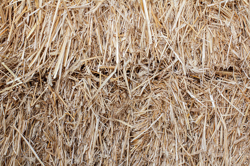 Close-up stacks of dry straw as a natural background.