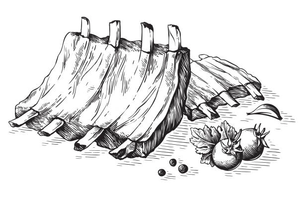 ilustrações de stock, clip art, desenhos animados e ícones de sketch hand drawn pork fried ribs isolated on white background. vector - pig pork meat barbecue