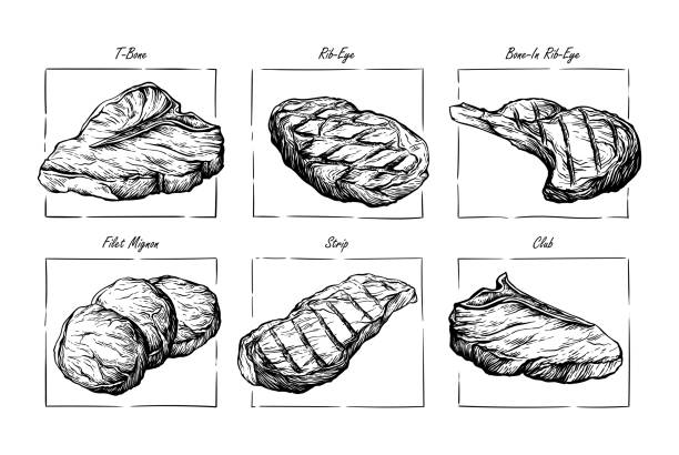 스케치 손으로 그린 메뉴 맵 컬렉션의 다른 고기 쇠고기 소고기 쇠고기 스테이크 스트리플로인 리브 아이 tbone 메달 벡터 - steak meat t bone steak raw stock illustrations