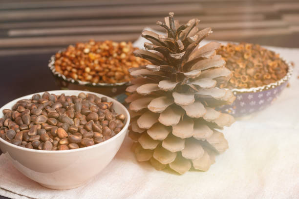 Pine cone and three bowls with peeled pine nuts, skins and whole. Still life on a table with a light linen tablecloth.