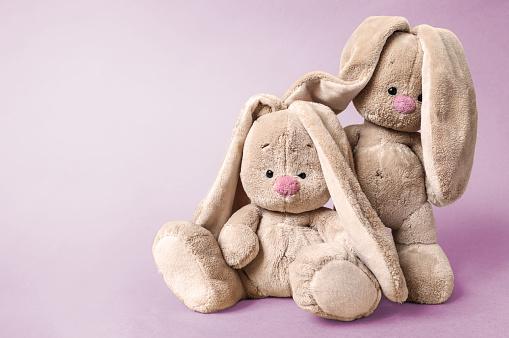 a cute baby soft toys bunnies together on a bright pink background