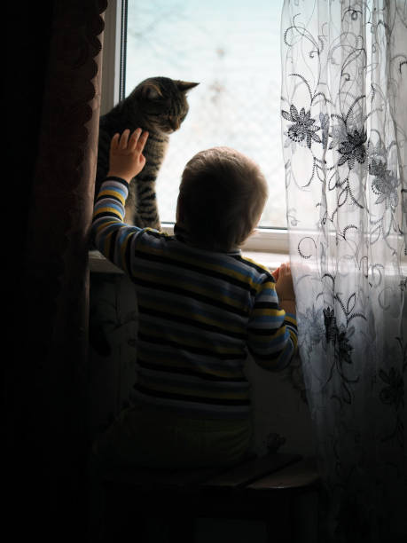 little boy and cat by the window - child domestic cat little boys pets imagens e fotografias de stock