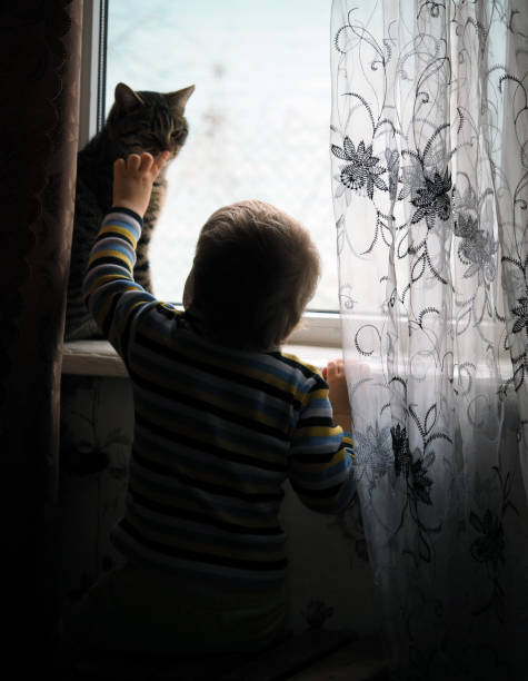 istock little boy and cat by the window 1302746763