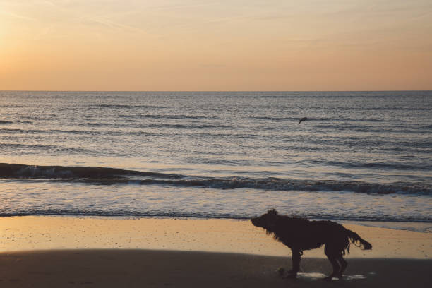 Photo taken in Bloemendaal, Netherlands