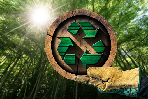 Hand with protective work glove showing a recycling symbol made of green and brown wood inside of a cross section of a tree trunk. Sustainable Resources concept. Green forest on background.