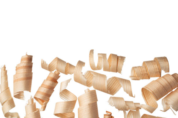 istock Wood shavings curls isolated on white background 1302751562