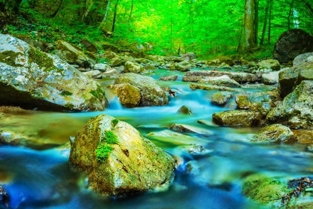 istock small mountain river in a canyon 1302754261