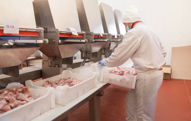 istock The meat factory. chicken on a conveyor belt.meat processing plant.meat processing plant assembly line.People working at a chicken factory - stock photo. 1302756280