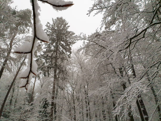 snowy day in the mountain stock photo