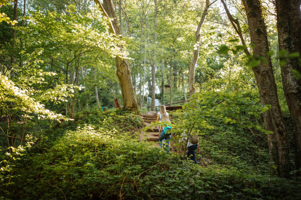 istock Young people hiking in sunny woods 1302758883