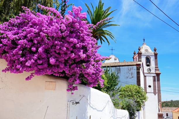 istock Silves Cathedral, Portugal. 1302759452