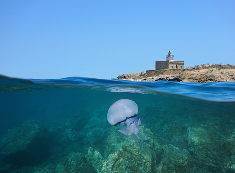 Lighthouse on rocky coast and a jellyfish underwater, split view over and under water surface, Spain, Mediterranean sea, Costa Brava, Catalonia, El Port de la Selva, Far de Punta Sarnella